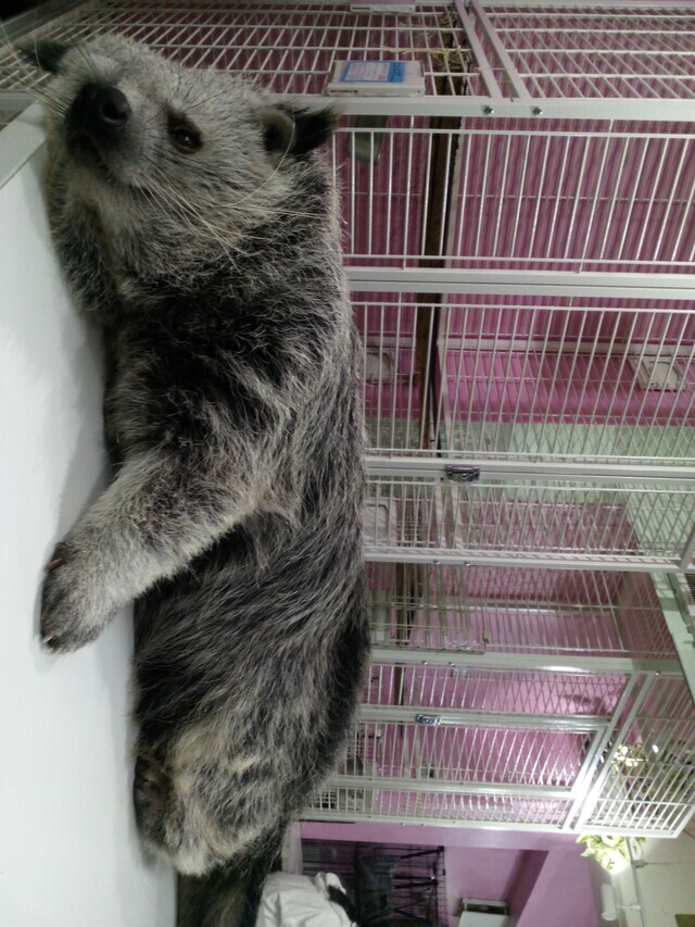 まお✨出勤中💕
