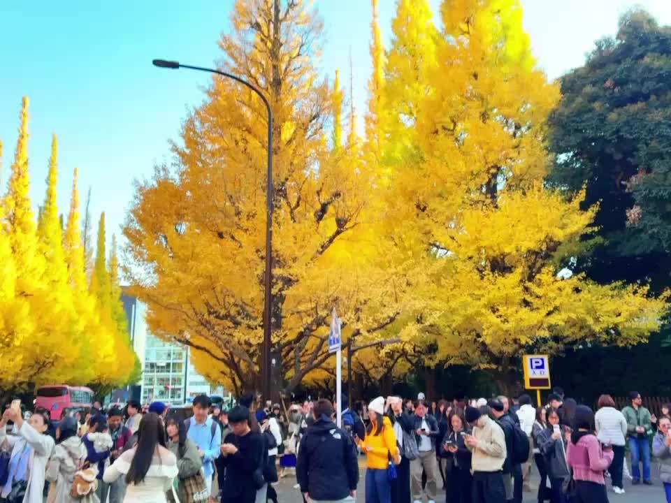 こんにちは🤗|写メ日記|すみれ|鶯谷 人妻デリヘル 鶯谷倶楽部 愛