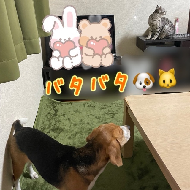 おはようございます❣️