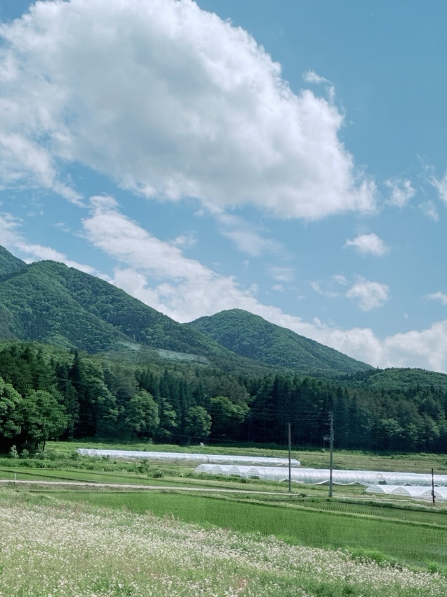 本日😊16時出勤になります❣️｜写メ日記｜すみれ｜鶯谷 人妻デリヘル 鶯谷倶楽部 愛