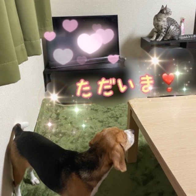 おつかれさまでした❣️｜写メ日記｜すみれ｜鶯谷 人妻デリヘル 鶯谷倶楽部 愛