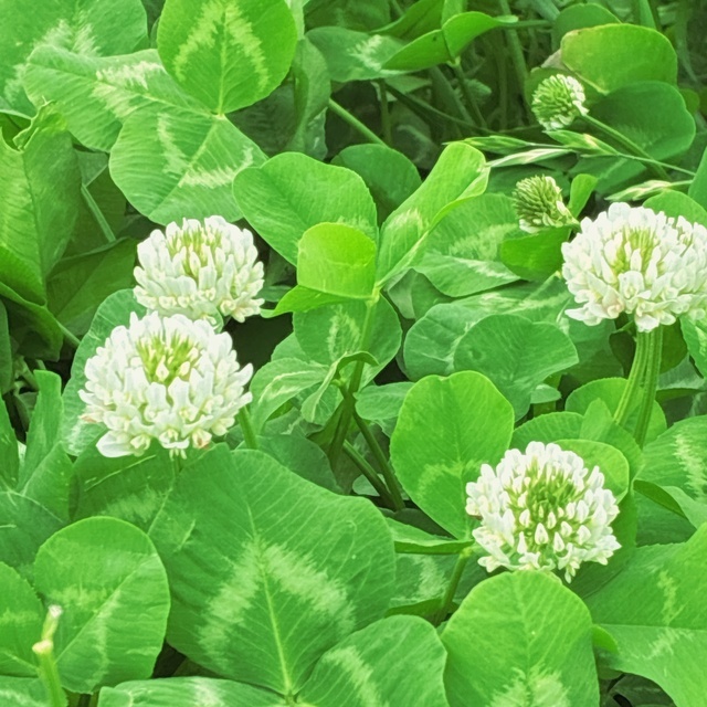 只今❣️鶯谷へ向かっています🩵