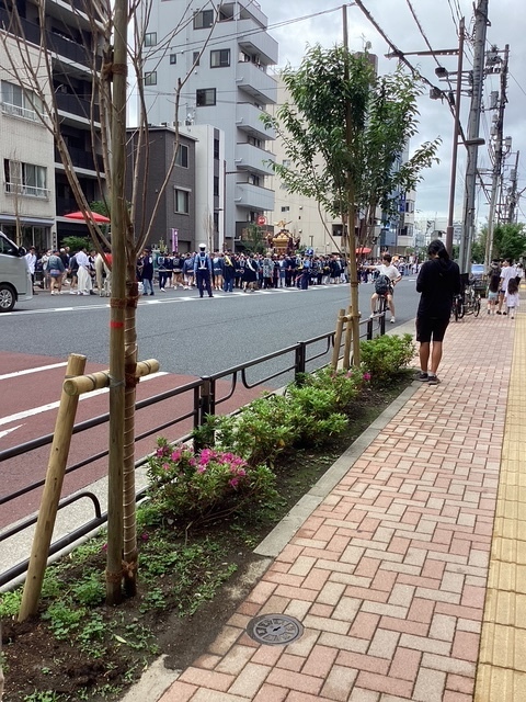 御神輿…見かけた〜｡｜写メ日記｜あきら｜鶯谷 人妻デリヘル 鶯谷倶楽部 愛