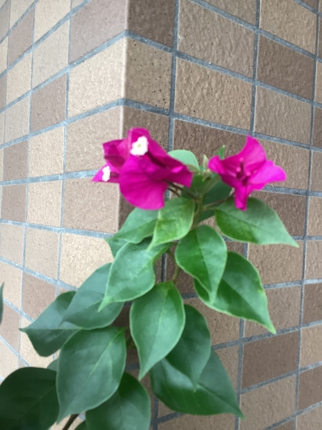 やっと晴れたね☀️
