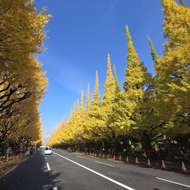 ともみです🎵｜写メ日記｜ともみ｜鶯谷 人妻デリヘル 鶯谷倶楽部 愛