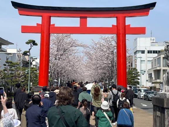 お泊まりで｜写メ日記｜ぱいん｜鶯谷 ぽっちゃりデリヘル ぽっちゃりデリヘル倶楽部