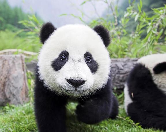 ごめんなさい｜写メ日記｜さなえ｜鶯谷 ぽっちゃりデリヘル ぽっちゃりデリヘル倶楽部