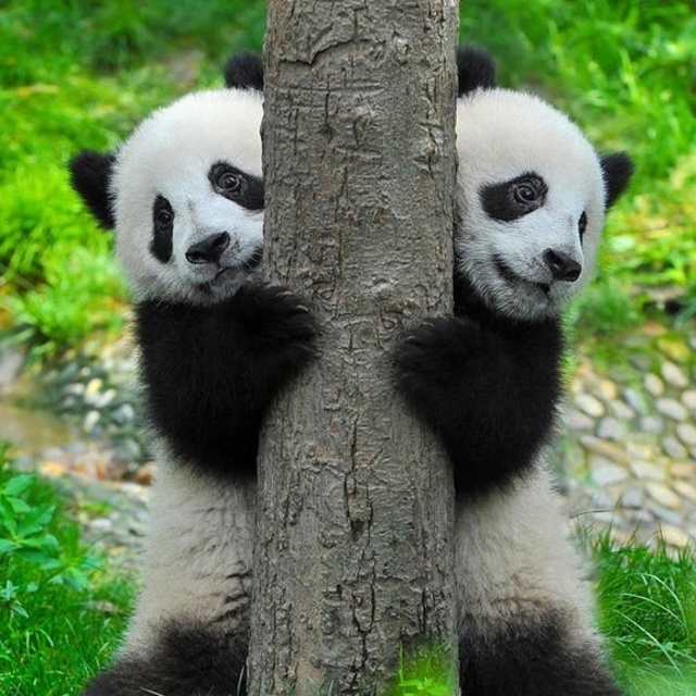 予約開始｜写メ日記｜さなえ｜鶯谷 ぽっちゃりデリヘル ぽっちゃりデリヘル倶楽部