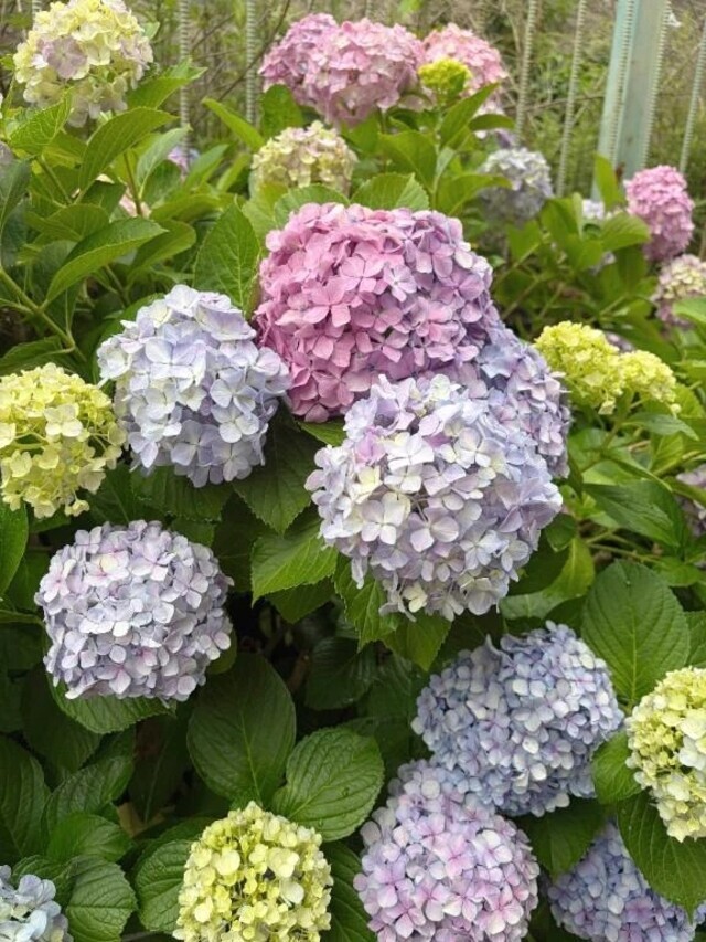 興味ないけど