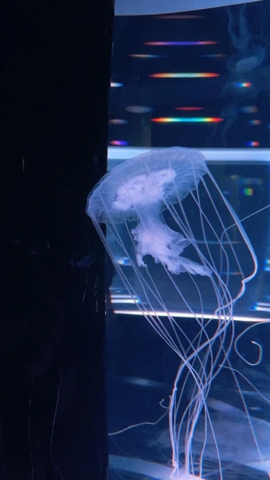 すみません！！！！｜写メ日記｜えれな｜鶯谷 ぽっちゃりデリヘル ぽっちゃりデリヘル倶楽部