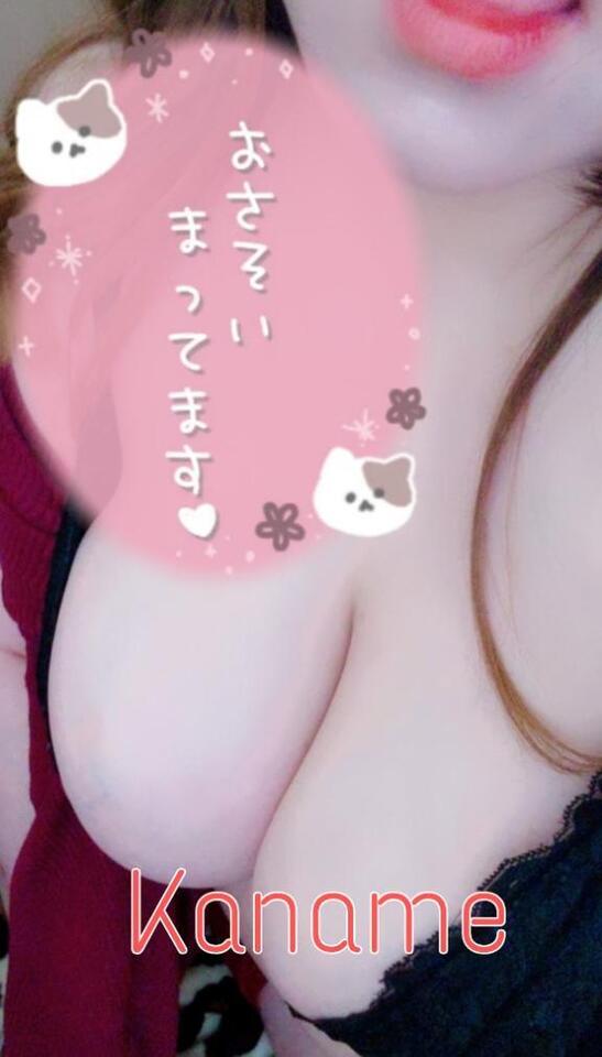 しゅしゅしゅ！🩷｜写メ日記｜かなめ｜鶯谷 ぽっちゃりデリヘル ぽっちゃりデリヘル倶楽部