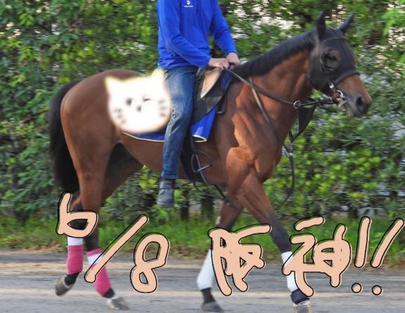 しゅばしゅばー｜写メ日記｜いおり｜鶯谷 ぽっちゃりデリヘル ぽっちゃりデリヘル倶楽部