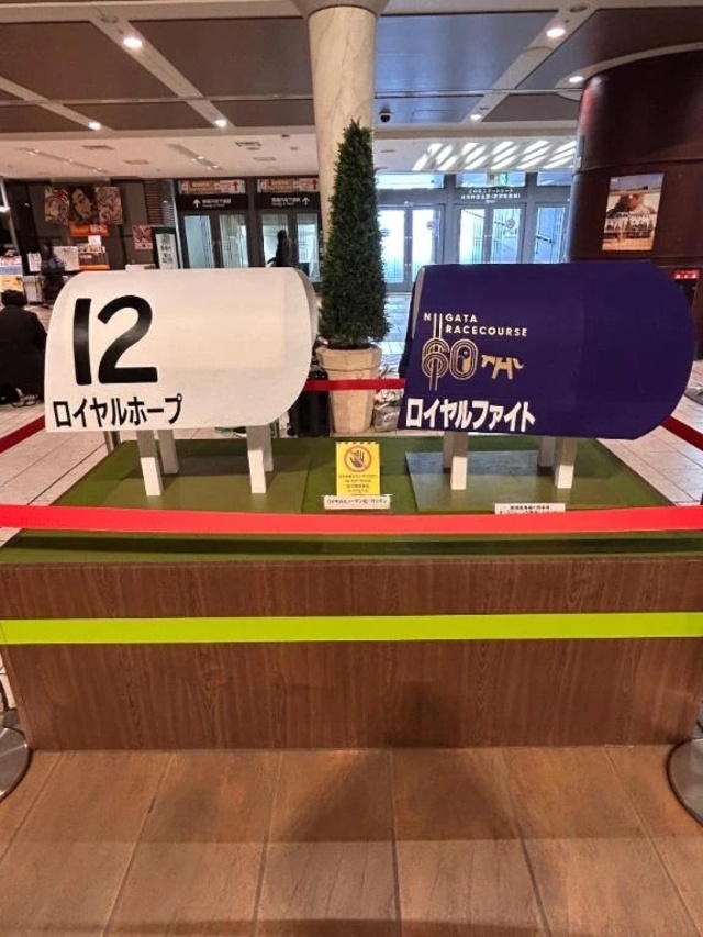 ひさ！｜写メ日記｜いおり｜鶯谷 ぽっちゃりデリヘル ぽっちゃりデリヘル倶楽部