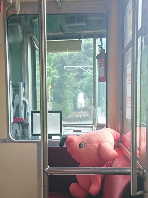 どれだけ傷ついても譲れないものがある｜写メ日記｜みさき｜鶯谷 ぽっちゃりデリヘル ぽっちゃりデリヘル倶楽部