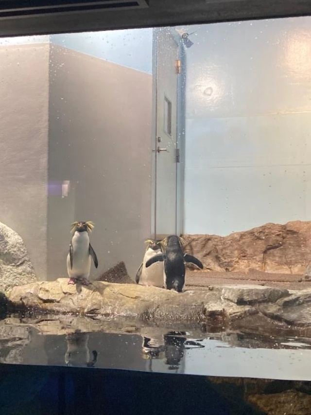 3月14日｜写メ日記｜みさき｜鶯谷 ぽっちゃりデリヘル ぽっちゃりデリヘル倶楽部