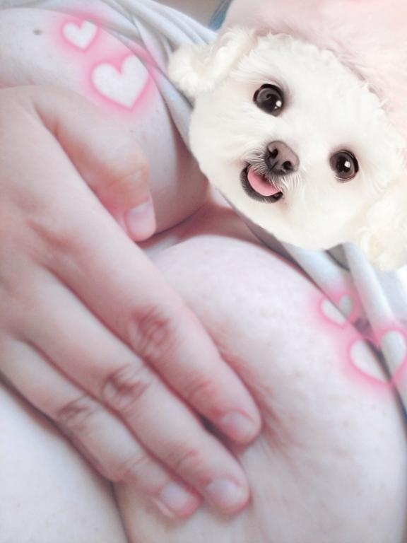 今日は早く