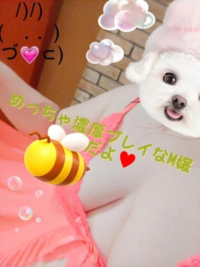 9月3日だけ｜写メ日記｜こなつ｜鶯谷 ぽっちゃりデリヘル ぽっちゃりデリヘル倶楽部