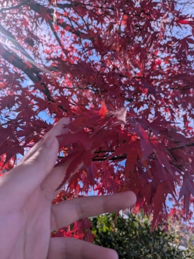 【ちひろ】自分を変える〜運気が良いときこそリセット〜｜写メ日記｜ちひろ｜鶯谷 ぽっちゃりデリヘル ぽっちゃりデリヘル倶楽部