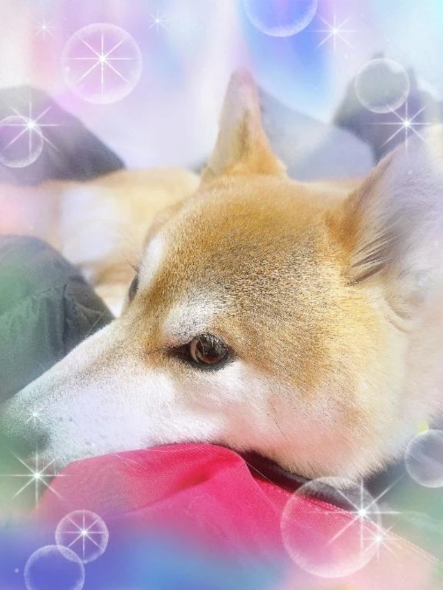 こんにちは😊｜写メ日記｜ことの｜鶯谷 ぽっちゃりデリヘル ぽっちゃりデリヘル倶楽部