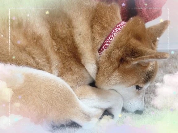 大丈夫？？｜写メ日記｜ことの｜鶯谷 ぽっちゃりデリヘル ぽっちゃりデリヘル倶楽部