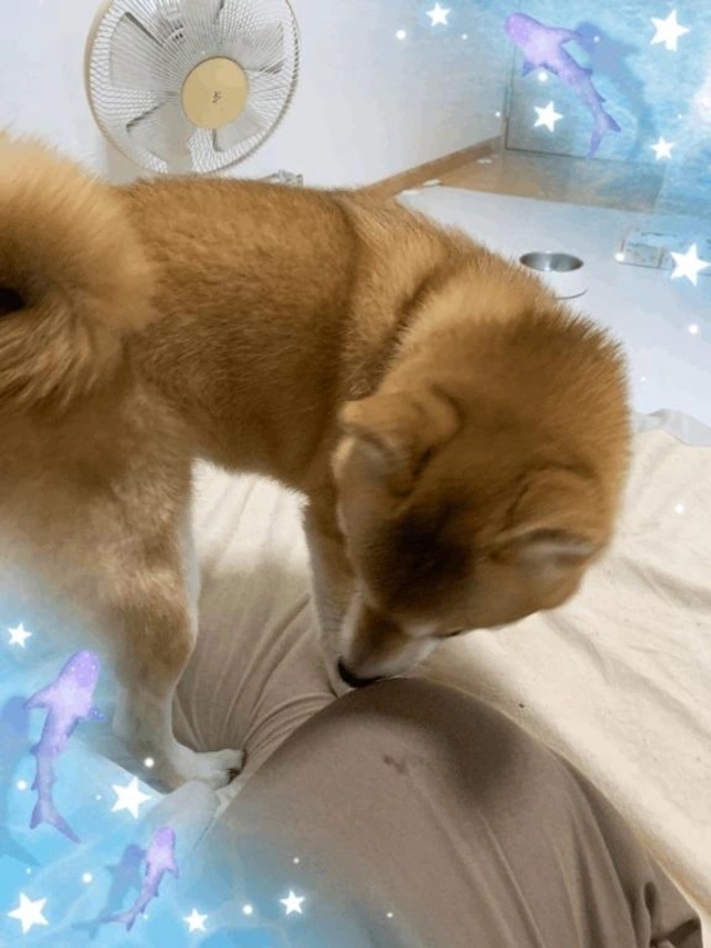 そろそろしまっちゃうよ～｜写メ日記｜ことの｜鶯谷 ぽっちゃりデリヘル ぽっちゃりデリヘル倶楽部