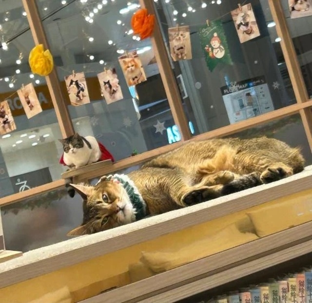 口開けのご予約ありがとうございます🫶｜写メ日記｜ゆの｜鶯谷 ぽっちゃりデリヘル ぽっちゃりデリヘル倶楽部