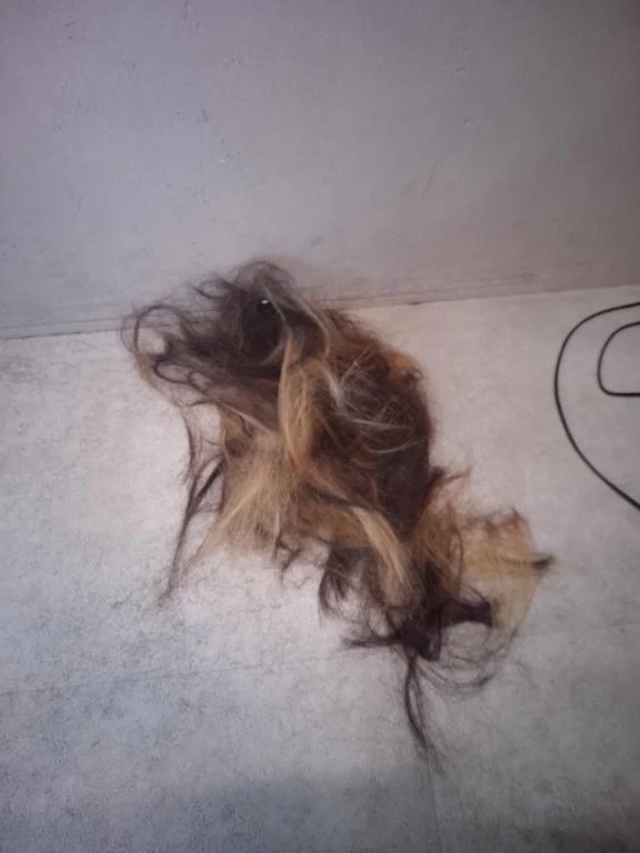 出勤納め( ᐢ. ̫ .ᐢ )ღ｜写メ日記｜みみ｜鶯谷 ぽっちゃりデリヘル ぽっちゃりデリヘル倶楽部