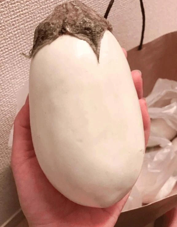 おはようございます☀️｜写メ日記｜みみ｜鶯谷 ぽっちゃりデリヘル ぽっちゃりデリヘル倶楽部