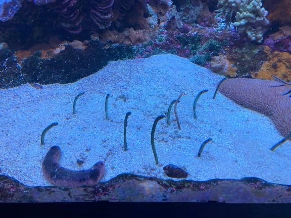 お礼日記💌｜写メ日記｜みゆ｜鶯谷 ぽっちゃりデリヘル ぽっちゃりデリヘル倶楽部