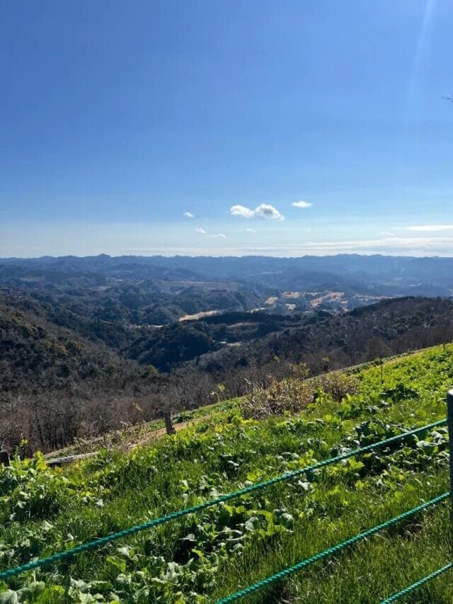 お礼日記💌｜写メ日記｜みゆ｜鶯谷 ぽっちゃりデリヘル ぽっちゃりデリヘル倶楽部