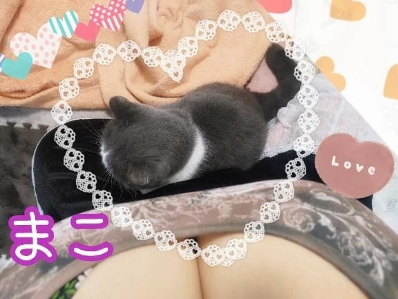 今日！出勤！します！