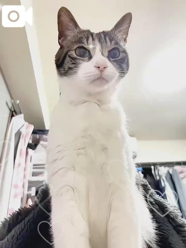 上に乗られるのは好き？︎💕︎