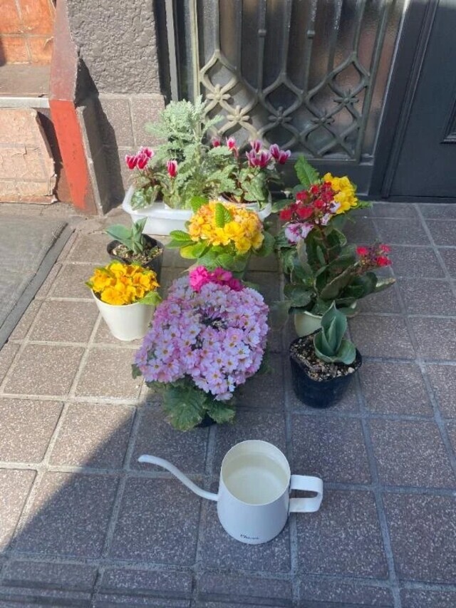 癒し(* ´  ` *)ᐝ｜写メ日記｜てんか｜鶯谷 ぽっちゃりデリヘル ぽっちゃりデリヘル倶楽部