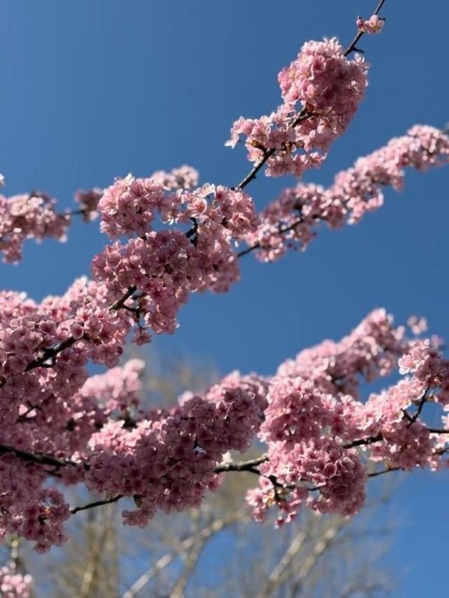 気分転換❤️｜写メ日記｜あやね｜鶯谷 ぽっちゃりデリヘル ぽっちゃりデリヘル倶楽部