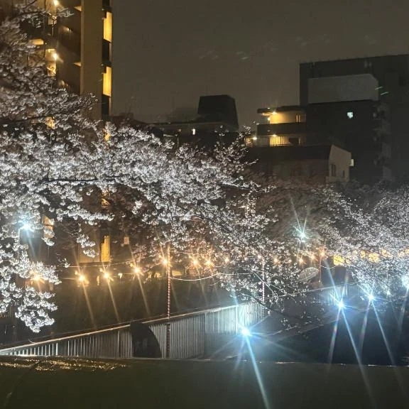 おやすみなさい🌙｜写メ日記｜あさひ｜鶯谷 ぽっちゃりデリヘル ぽっちゃりデリヘル倶楽部