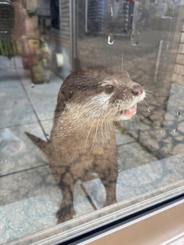 こんばんは♡｜写メ日記｜まみ｜鶯谷 ぽっちゃりデリヘル ぽっちゃりデリヘル倶楽部