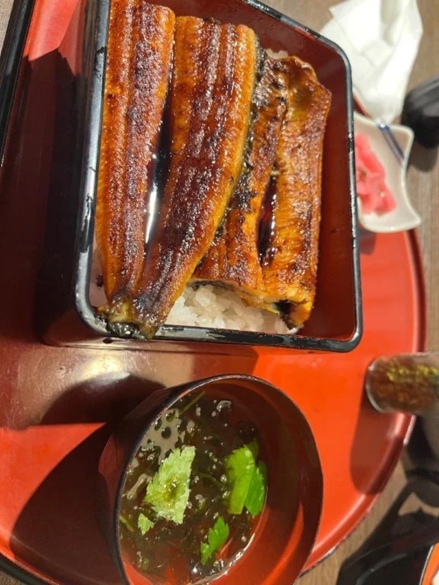 おはようございます☀️｜写メ日記｜まみ｜鶯谷 ぽっちゃりデリヘル ぽっちゃりデリヘル倶楽部