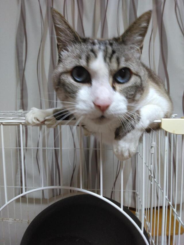 出勤しました！｜写メ日記｜のあ｜鶯谷 人妻デリヘル 熟女デリヘル秘宝館Ｚ