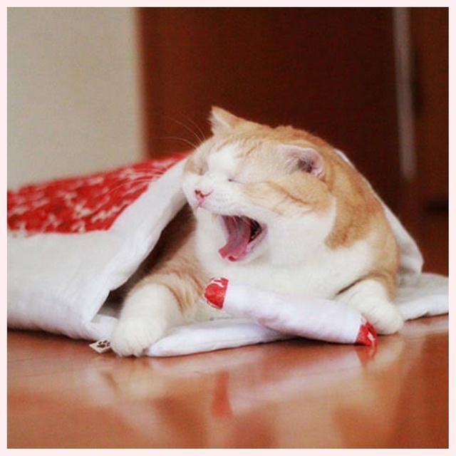 ひさびさに