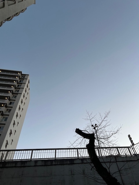 まだ｜写メ日記｜あさひ｜鶯谷 人妻デリヘル 熟女デリヘル秘宝館Ｚ