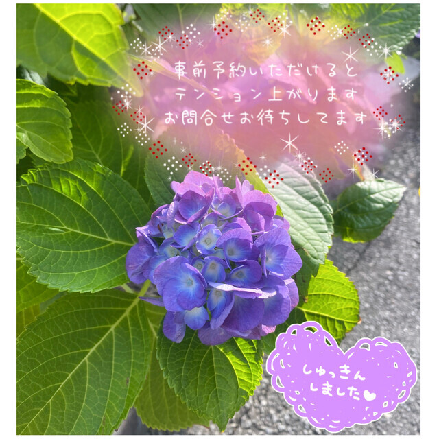 熟女デリヘル秘宝館Ｚ ゆみな
