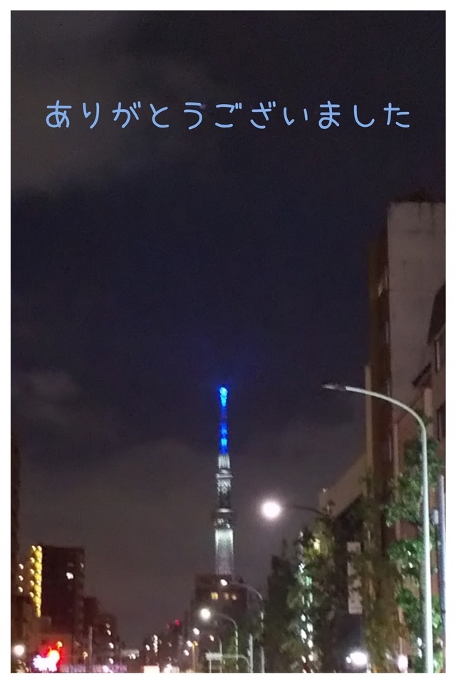 今日は｜写メ日記｜せいこ｜鶯谷 人妻デリヘル 熟女デリヘル秘宝館Ｚ