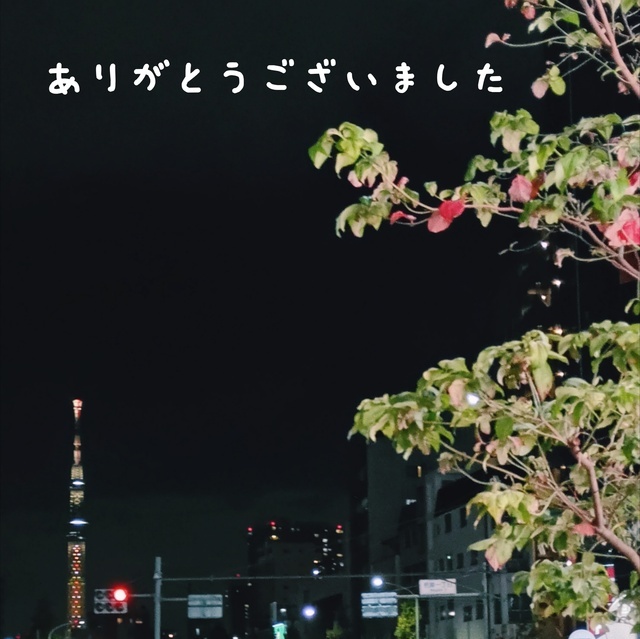 今日は｜写メ日記｜せいこ｜鶯谷 人妻デリヘル 熟女デリヘル秘宝館Ｚ