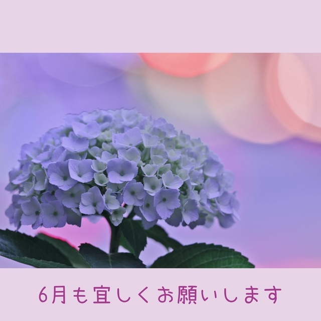 6月｜写メ日記｜せいこ｜鶯谷 人妻デリヘル 熟女デリヘル秘宝館Ｚ