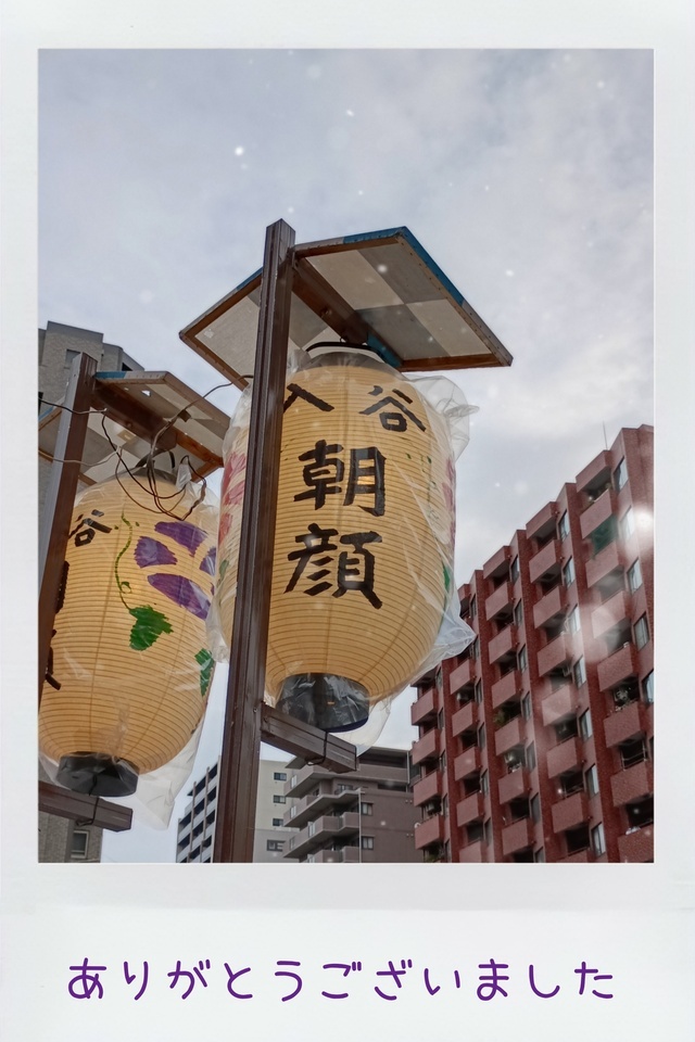 今日は｜写メ日記｜せいこ｜鶯谷 人妻デリヘル 熟女デリヘル秘宝館Ｚ