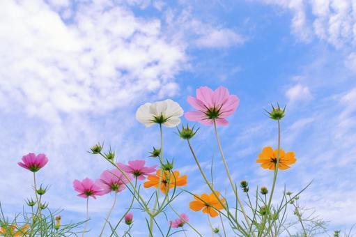 ☺️｜写メ日記｜くりす｜鶯谷 人妻デリヘル 熟女デリヘル秘宝館Ｚ