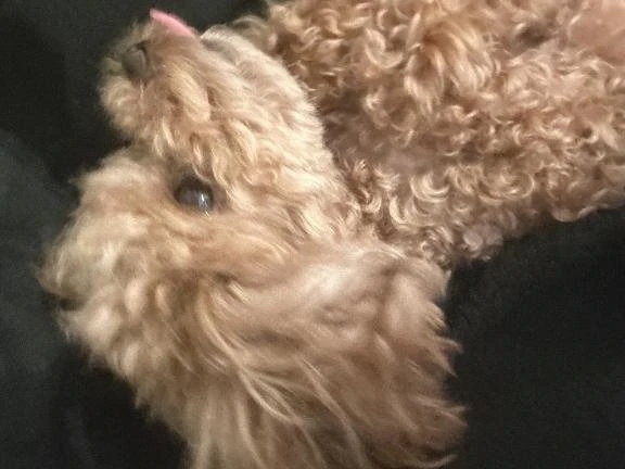 空きました❕｜写メ日記｜かなめ｜新宿 一般デリヘル デザインプリズム新宿