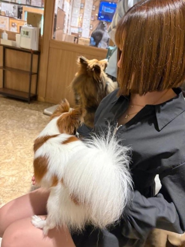 退勤🌙* :ﾟ｜写メ日記｜あすな｜新宿 一般デリヘル デザインプリズム新宿