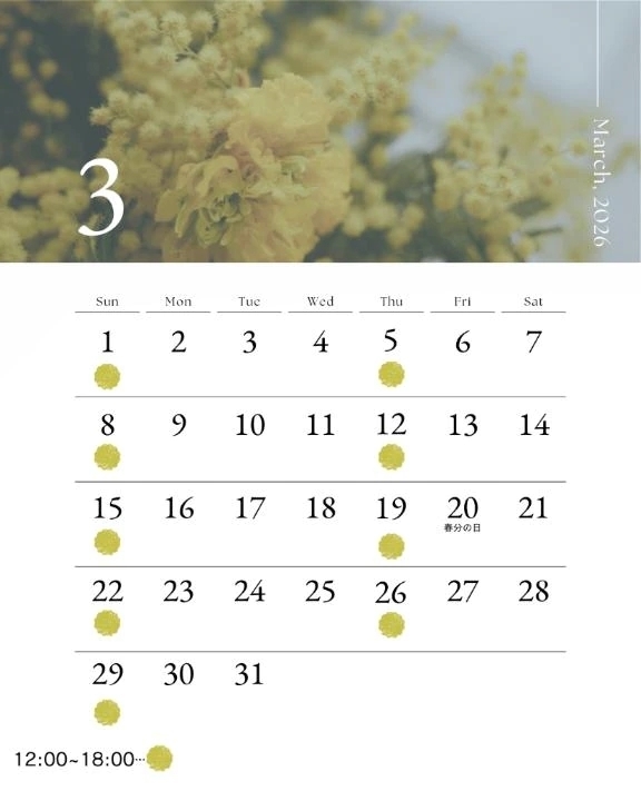 【今月の予定】こっそり見せちゃう❤️【おまけ付き♡】｜写メ日記｜てる｜新宿 一般デリヘル デザインプリズム新宿