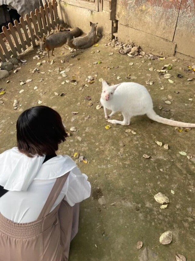 おやすみですが♡｜写メ日記｜うさ｜新宿 一般デリヘル デザインプリズム新宿